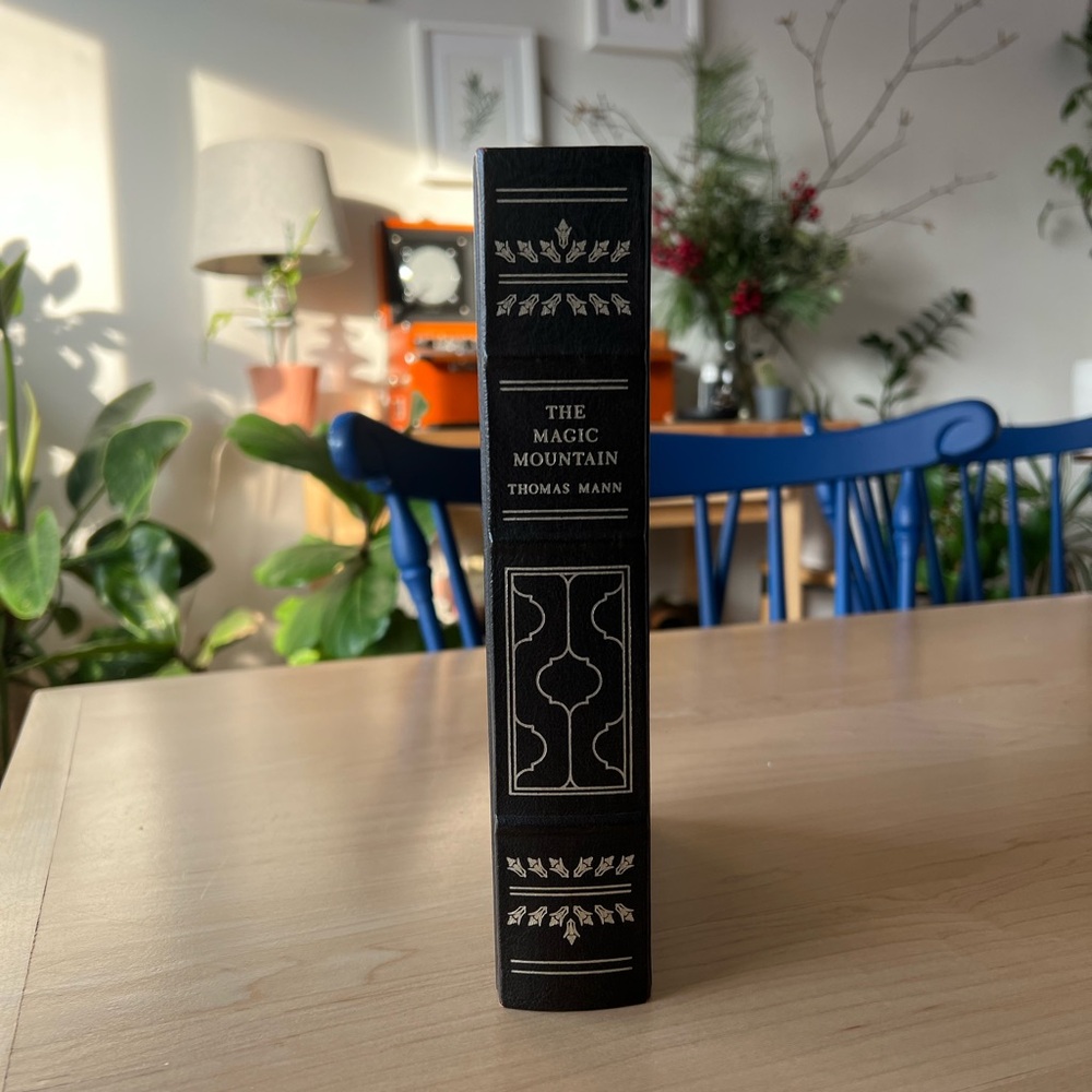 The Magic Mountain by Thomas Mann